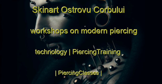 Skinart Ostrovu Corbului workshops on modern piercing technology | PiercingTraining | PiercingClasses | SkinartTraining-Romania